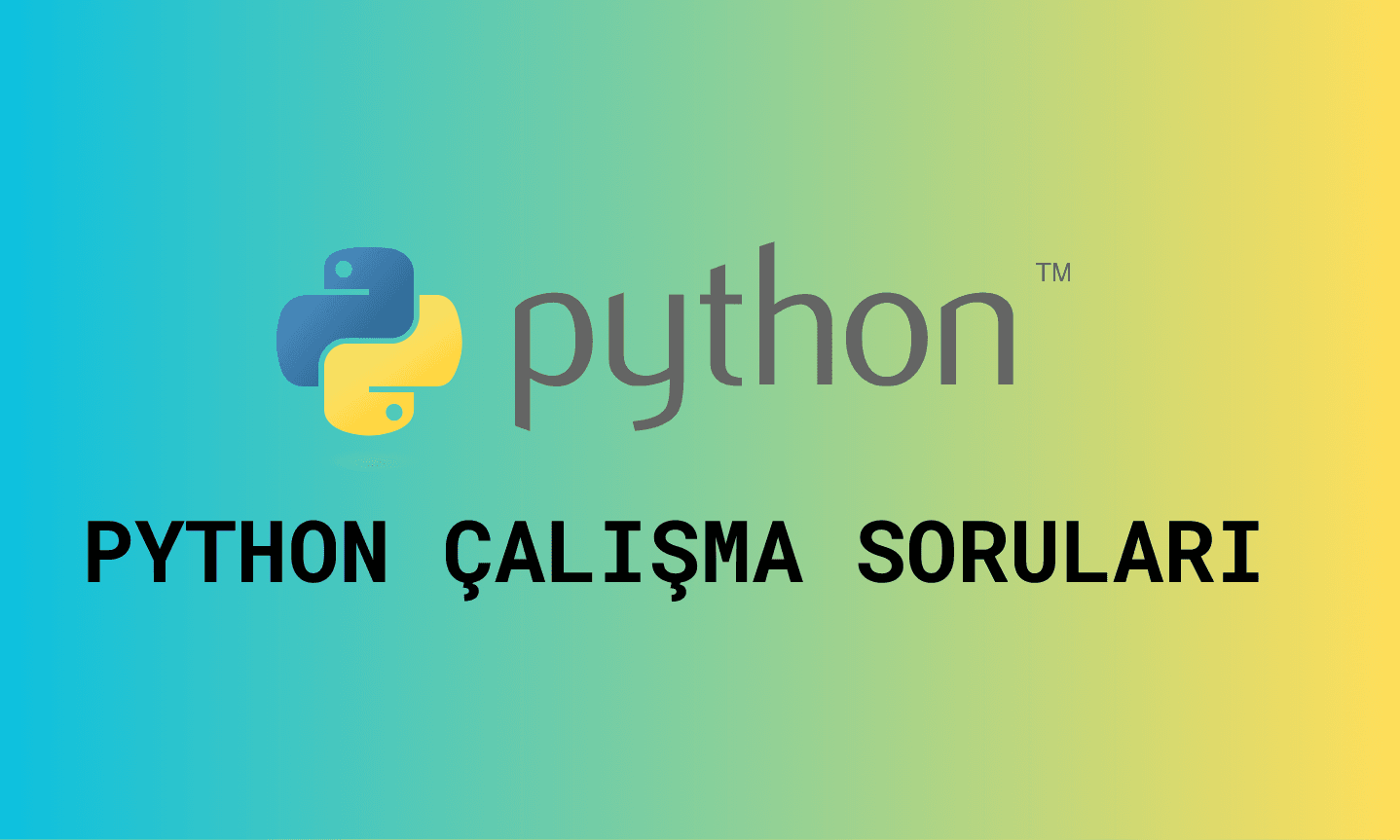 10. Sınıf Python Çalışma Soruları